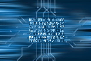 华体会hth-NBA球队市场营销数字化转型实践探索，nba营销模式