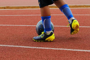 hth体育真人-NBA球员训练营最新发展动态，nba球员日常训练项目