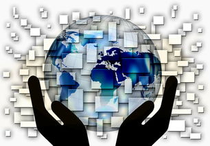 华体会app下载入口-中超球队年度控场人数分布与效果评估，中超球队人数限制